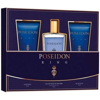 Varios Perfume POSEIDON KING MEN EDT SPRAY 150ML