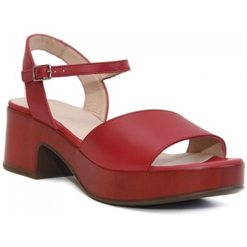 Wonders Sandalias D-8802-P