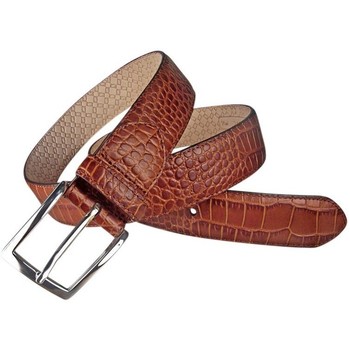 Leyva Cinturón Cinturón grabado de hombre de de piel de cocodrilo