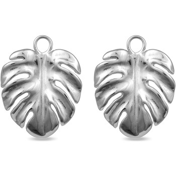 Luxenter Pendientes Pendientes Dracas De Plata De Ley 925