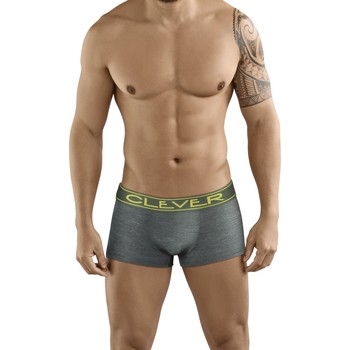 Clever Boxer Boxer Erótico Inteligente