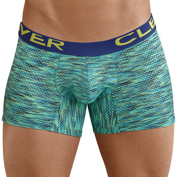 Clever Boxer El boxeador británico inteligente