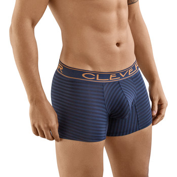 Clever Boxer Sensación de boxeador inteligente