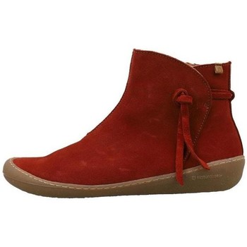 El Naturalista Botines -