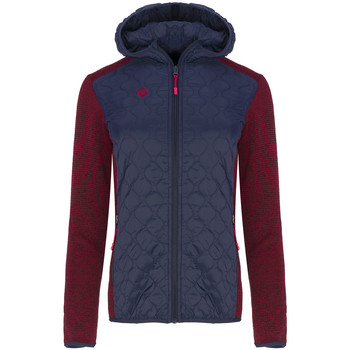 Izas Chaqueta Chaqueta de punto y fibra Zujar Ii C/P