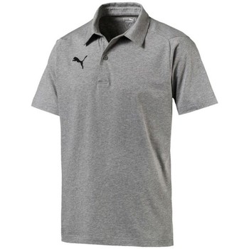 Puma Polo Liga Casuals