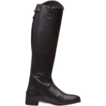 Saxon Botas equitación -