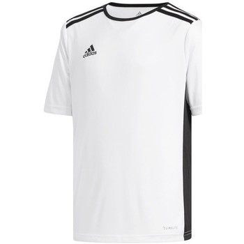 adidas Camiseta JR Entrada 18
