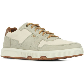 Caterpillar Zapatillas Line Up