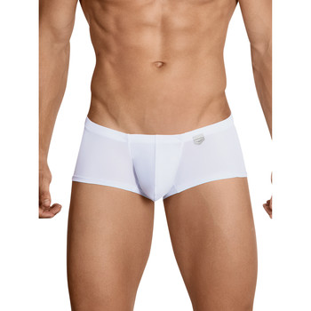 Clever Boxer Boxeador Austriaco Inteligente