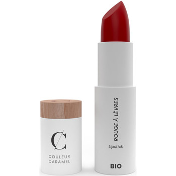 Couleur Caramel Pintalabios LIPSTICK 507 TERRACOTTA