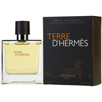 Hermès Paris Perfume HERMES TERRE D HERMES POUR HOMME EAU DE PARFUM 75ML VAPO