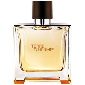Hermès Paris Perfume Terre D' - Eau de Parfum - 500ml - Vaporizador