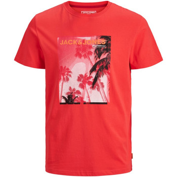 Jack & Jones Camiseta 12171480 JCOPALM TEE SS CREW NECK BITTERSWEET