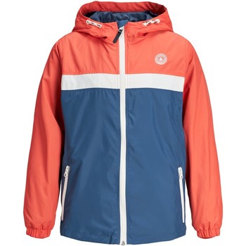 Jack & Jones Cazadora 12167790 COTT