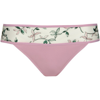 Lisca Tangas El brasileño Harper