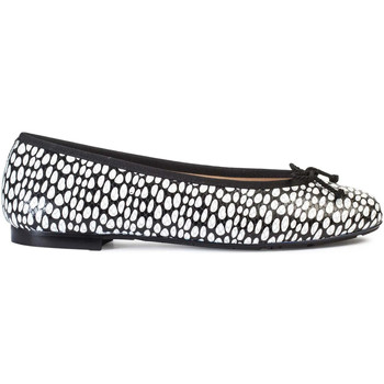 Paco Gil Bailarinas ANAHIS