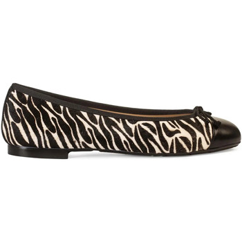 Paco Gil Bailarinas ROSALIA