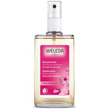 Weleda Desodorantes Rosa Mosqueta Desodorante 24h Eficacia Spray