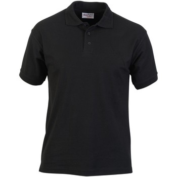 Absolute Apparel Polo -