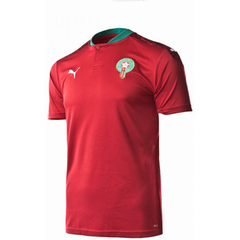 Puma Camiseta Marruecos Primera Equipación Replica 2020-2021