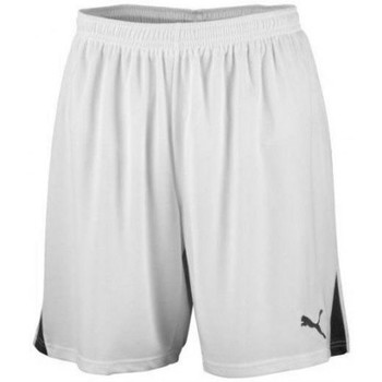 Puma Short Short Team Soccer