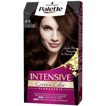 Palette Coloración Intensive Tinte 4.6-castaño Marrón