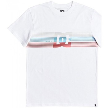 DC Shoes Camiseta Shoes Front Surface EDYZT04122