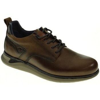 Fluchos Zapatos Hombre CORDON/BLUCHER MARRON