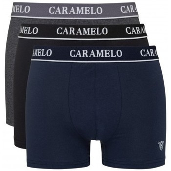 Caramelo Boxer 4014