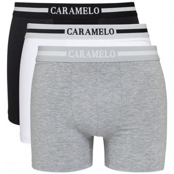 Caramelo Boxer 4016