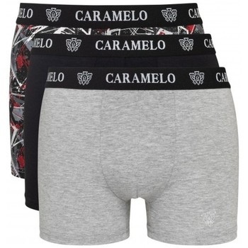 Caramelo Boxer 4017