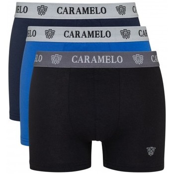 Caramelo Boxer 4021