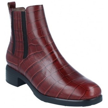 Wonders Botines Botines Casual con Tacón Bajo para Mujer de D-9303