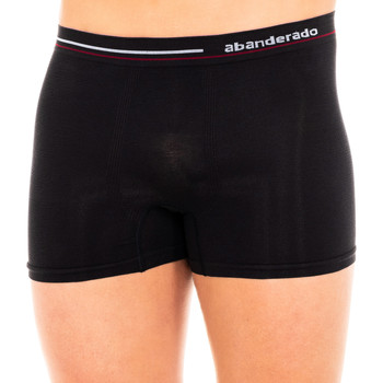 Abanderado Boxer Boxer