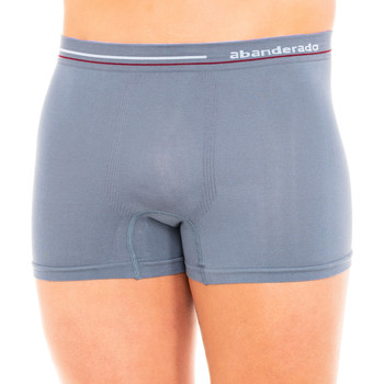 Abanderado Boxer Boxer