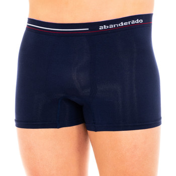 Abanderado Boxer Boxer