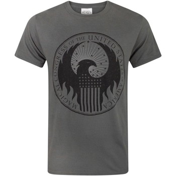 Fantastic Beasts And Where To Fi Camiseta -