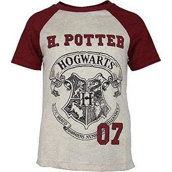 Harry Potter Camiseta -