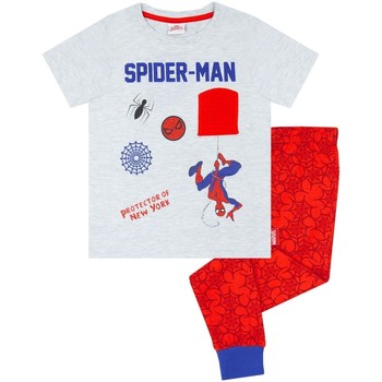 Spiderman -