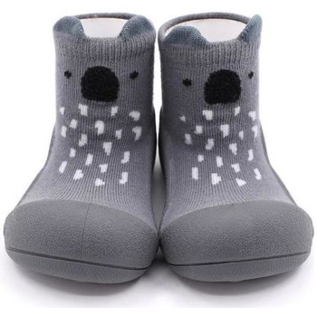 Attipas Pantuflas Endangered Animal Koala