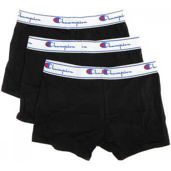 Champion Boxer Boxer