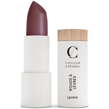 Couleur Caramel Lápiz de labios ROUGE A LEVRES BARRA DE LABIOS 258 BURGUNDY