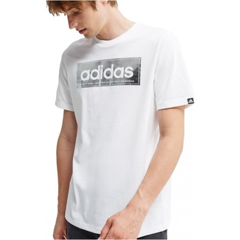 adidas Camiseta GD5913 - Hombres
