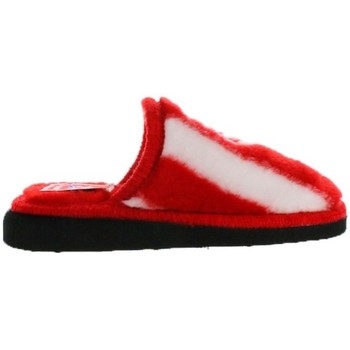 Andinas Pantuflas -799-20