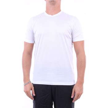 Barba Napoli Camiseta 6053374001