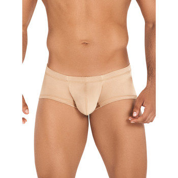 Clever Boxer Boxer latin Yourself