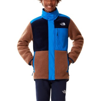 The North Face Chaqueta NF0A5AAW0M21