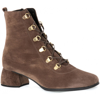 Gaimo Botines BOTINES MUJER CORDONES ANTE CARIBOU