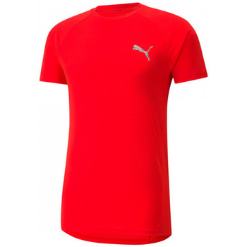 Puma Camiseta evostripe tee